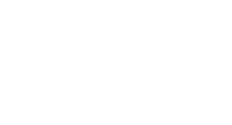 logo DUE